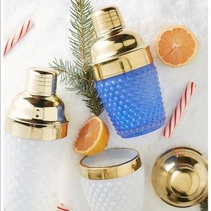 Anthropologie hobnail glass cocktail shaker